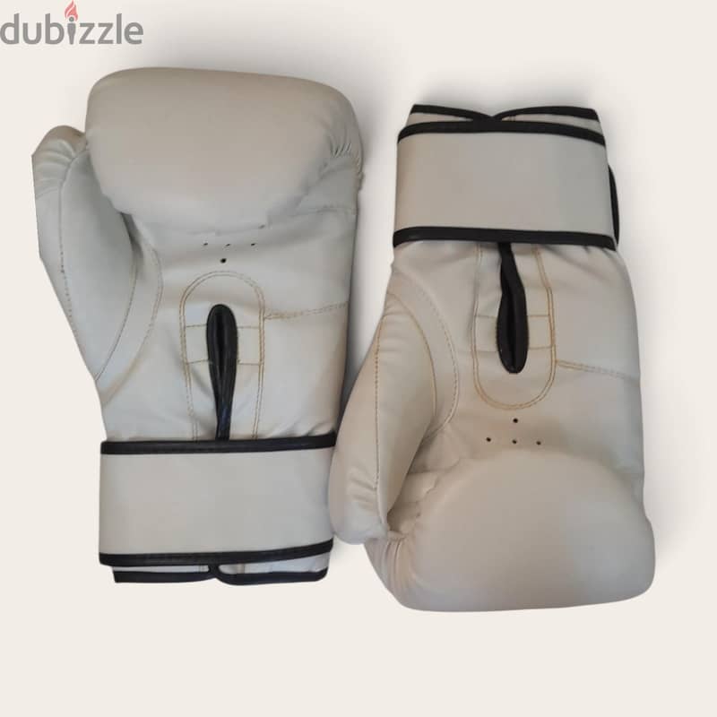Everlast Boxing gloves for training 3