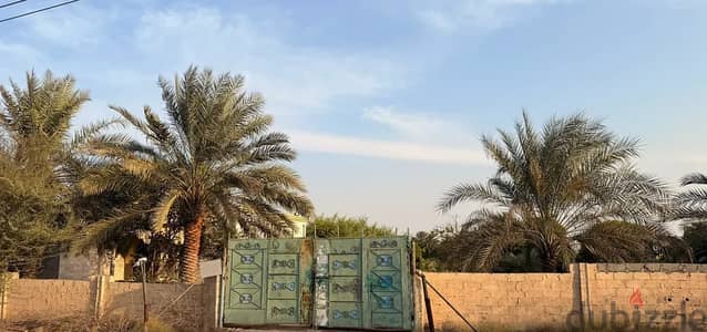 For Sale | Investment Agricultural Land Near Sohar Industrial Port