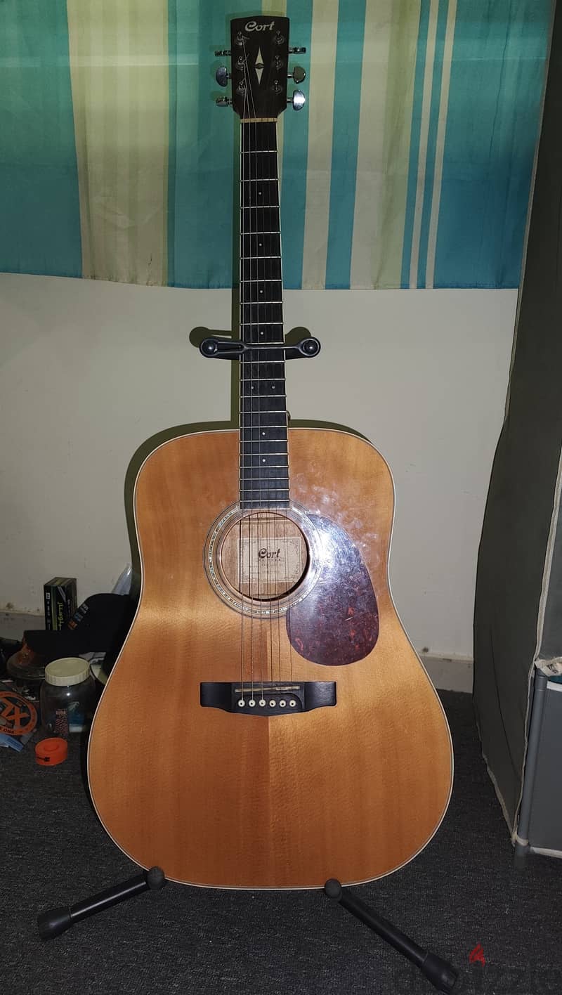 Electric Gutar, Guitar Effect,Guitar Amplifier,Accoustic Gutar 4