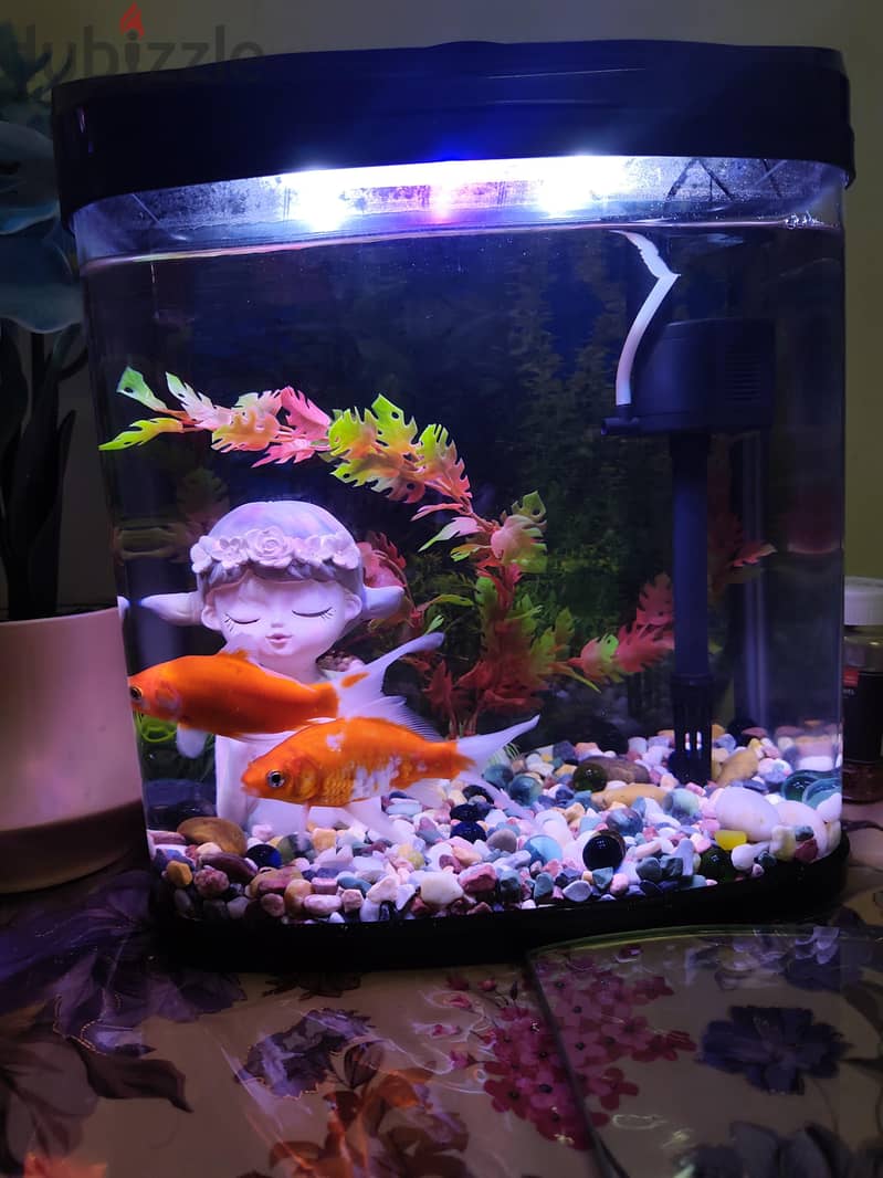 Aquarium with fishes 1