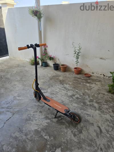 electric kick scooter