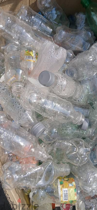 Pet bottle for sale 77114527