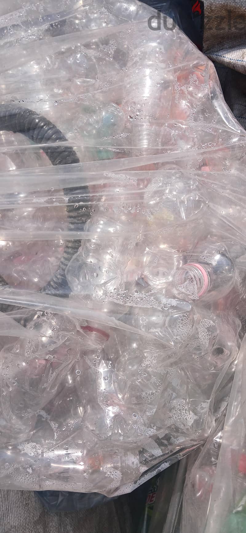 Pet bottle for sale 77114527 3