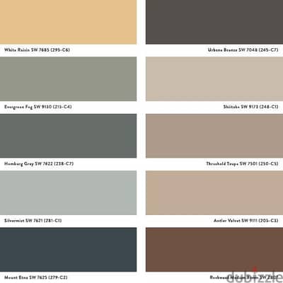 home painting internal and external