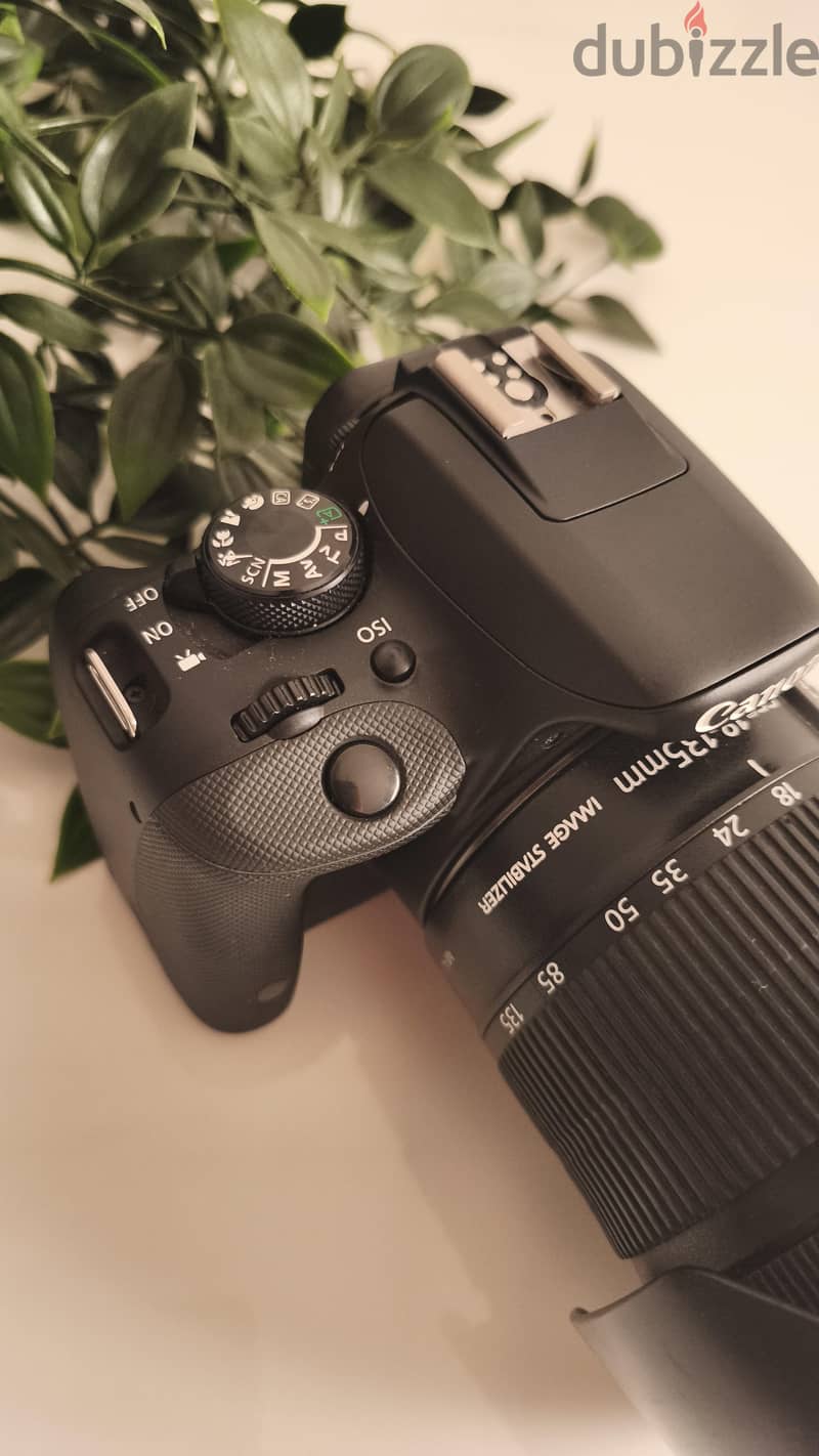 canon camera excellent condition 7