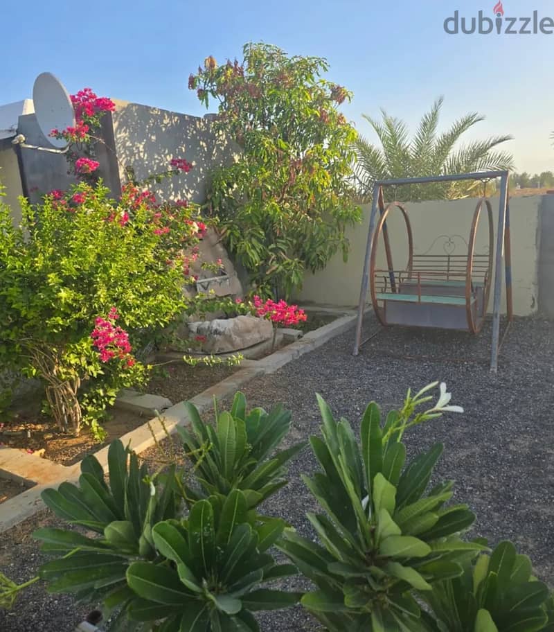 For Daily Rent | Two Camps in Bidiyah 1