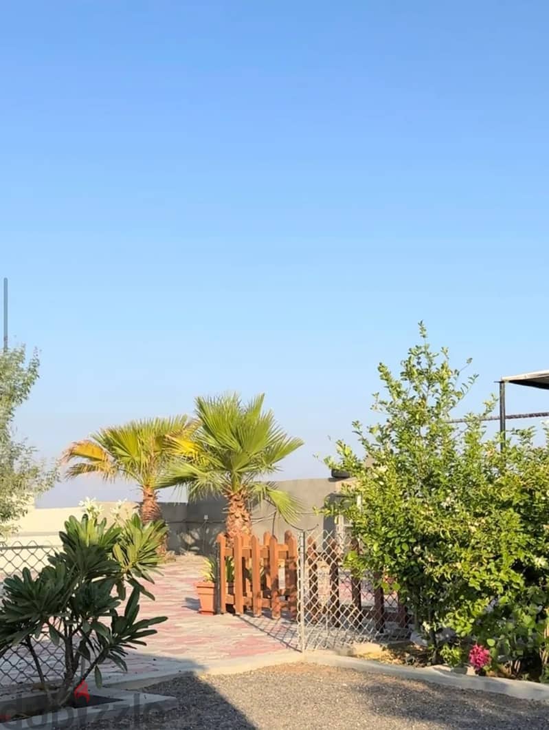 For Daily Rent | Two Camps in Bidiyah 13