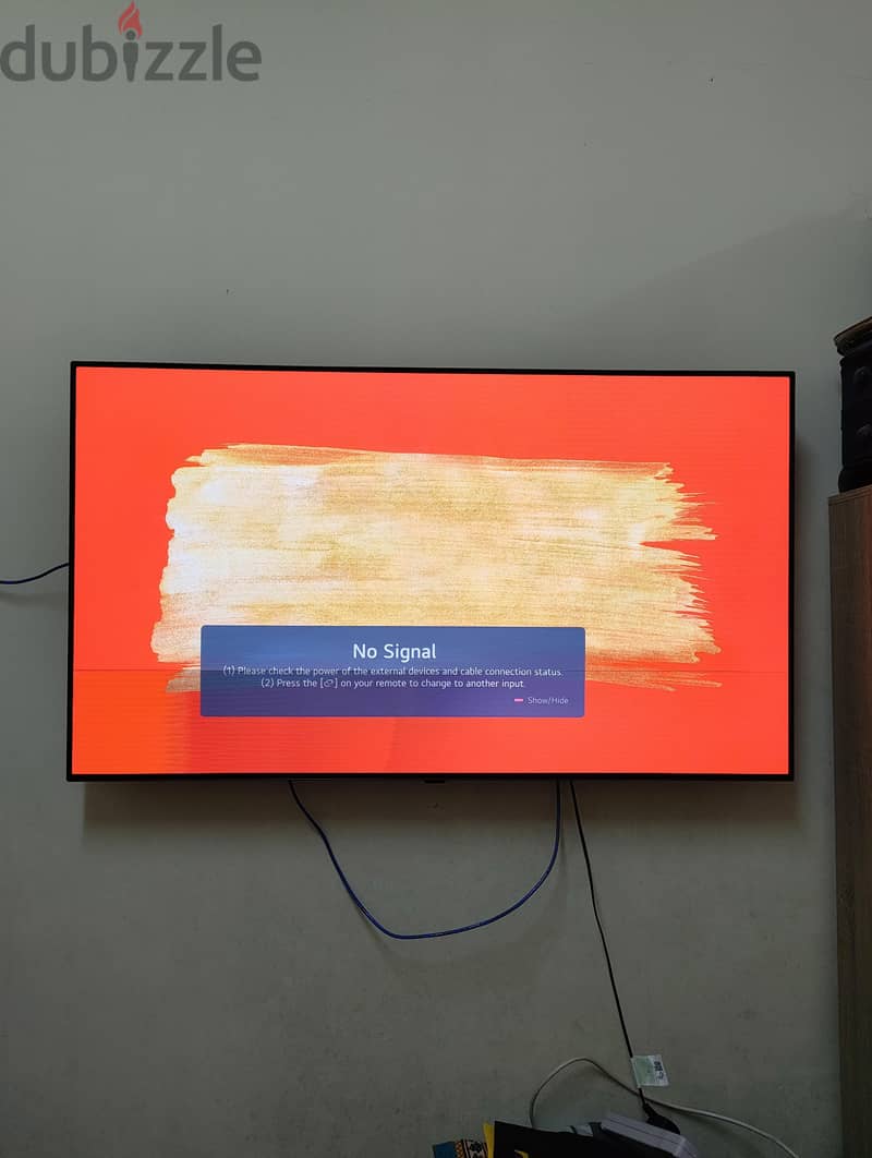 LG C1 55-inch OLED Smart TV it have Display problem 2
