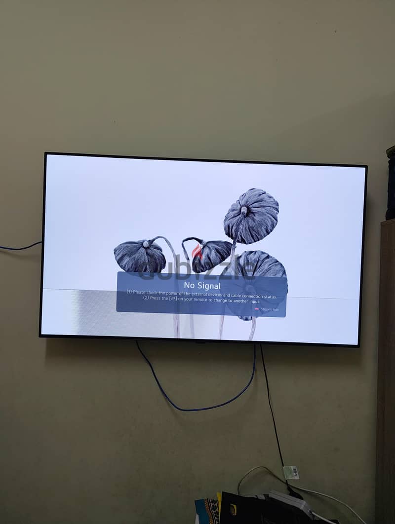 LG C1 55-inch OLED Smart TV it have Display problem 3