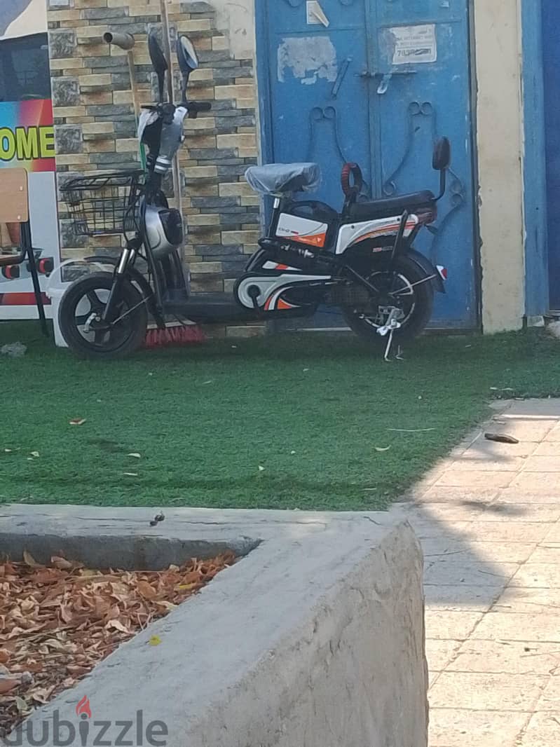 scoter 1