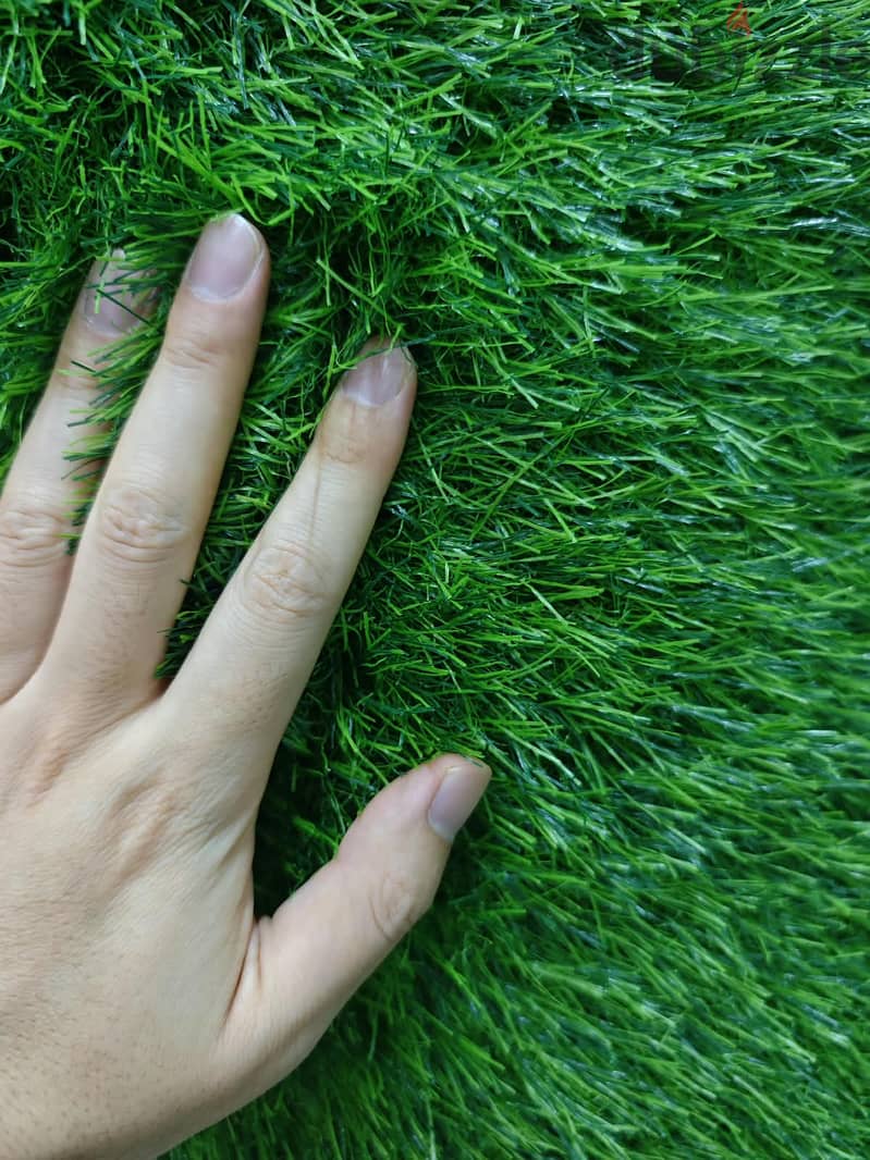 Artificial Grass 1