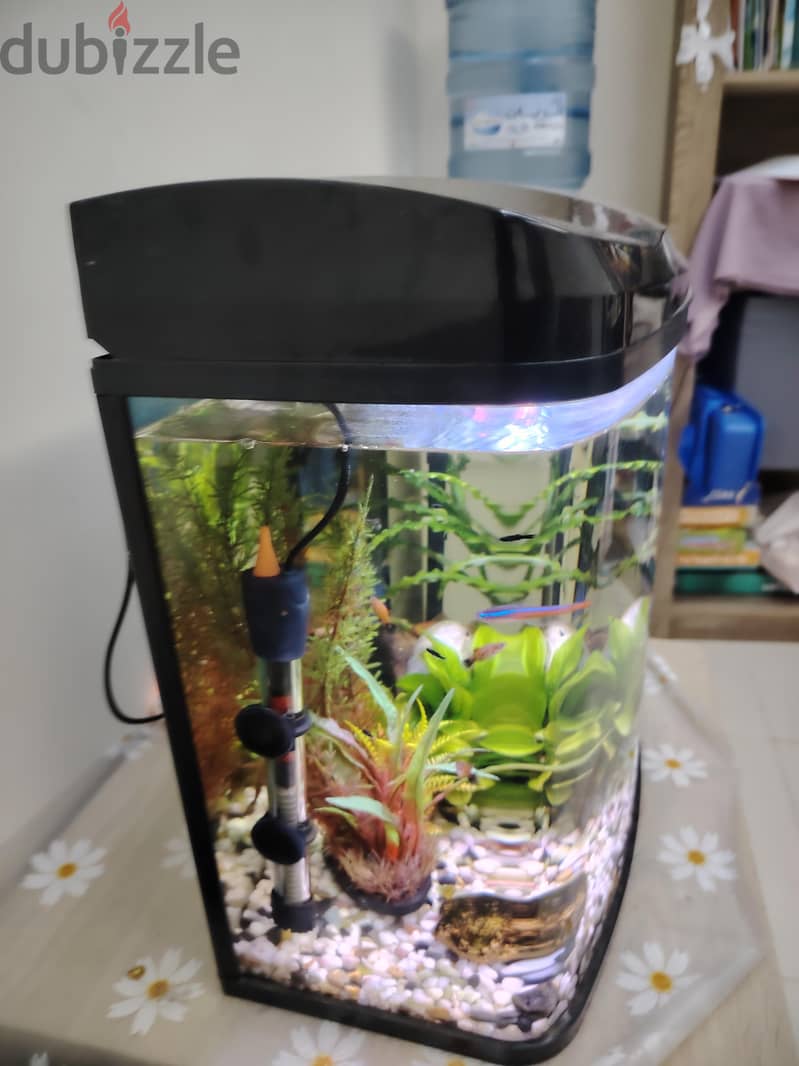Fish Tank. 1