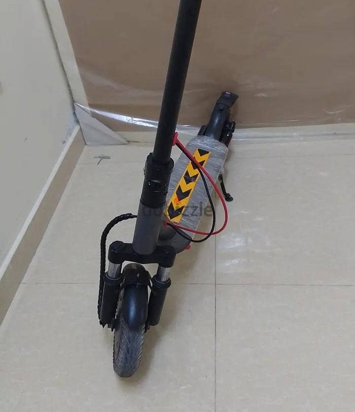 Electric Skooter 1