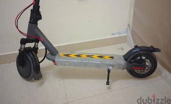 Electric Skooter 2