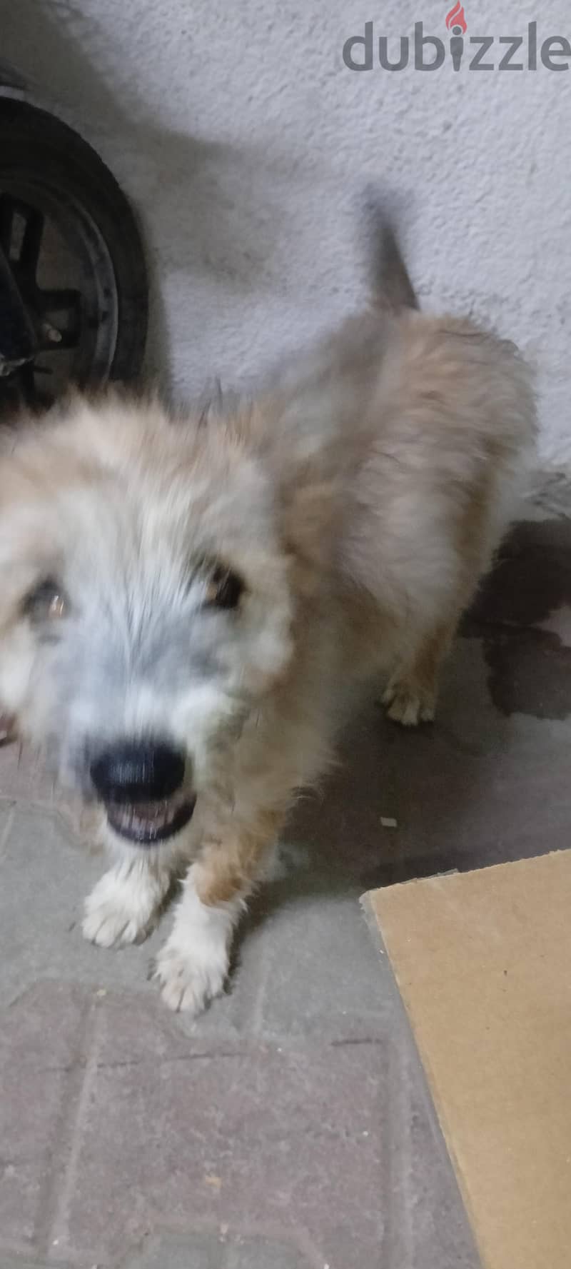 for sale 2