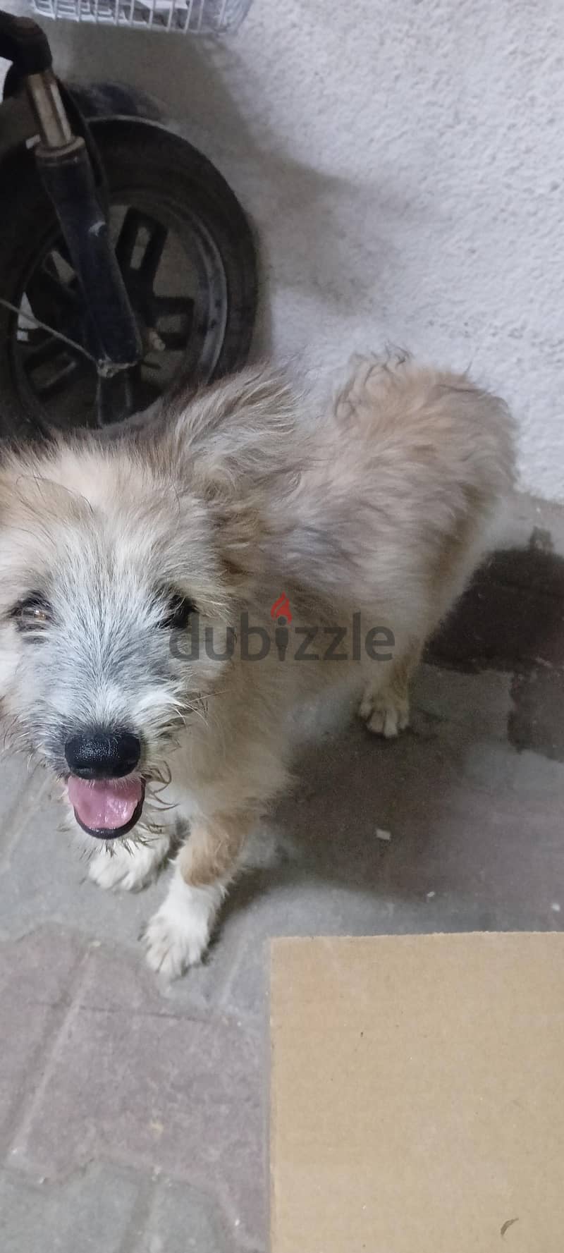 for sale 3