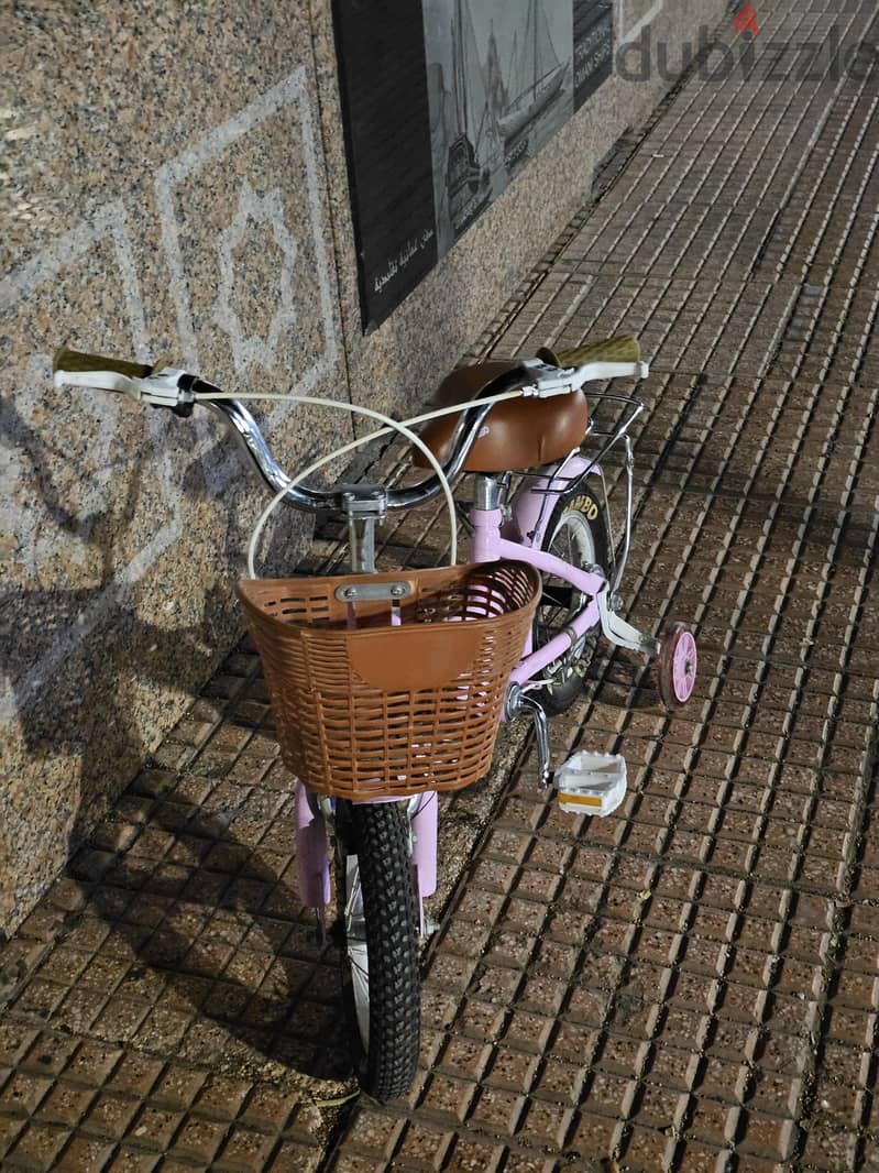 kids Cycle 2