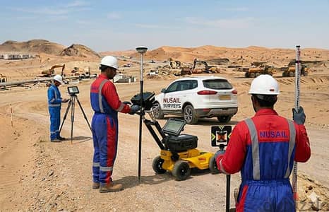surveyor and survey services