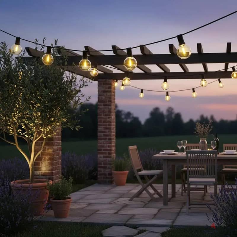 Warm White Decorative Lights* 1