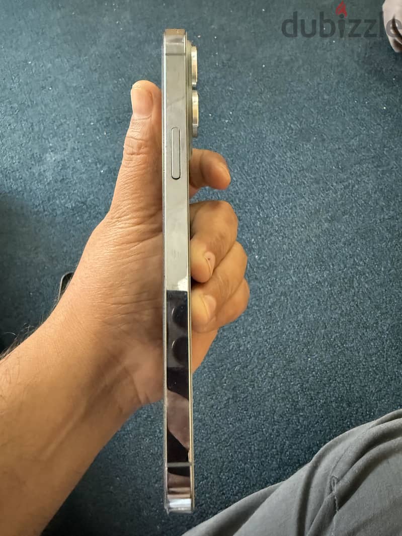 Apple - iPhone 13 Pro Max 1