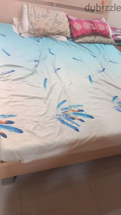 room available for rent bachelor indian only