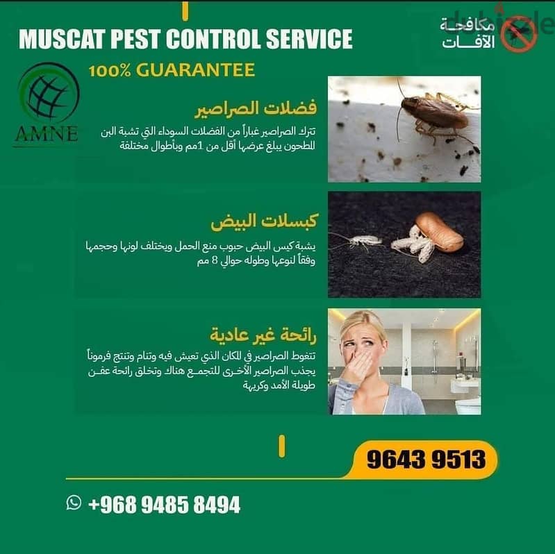 Professional & Guaranteed Pest Control Services in Muscat | Fast&Safe 2