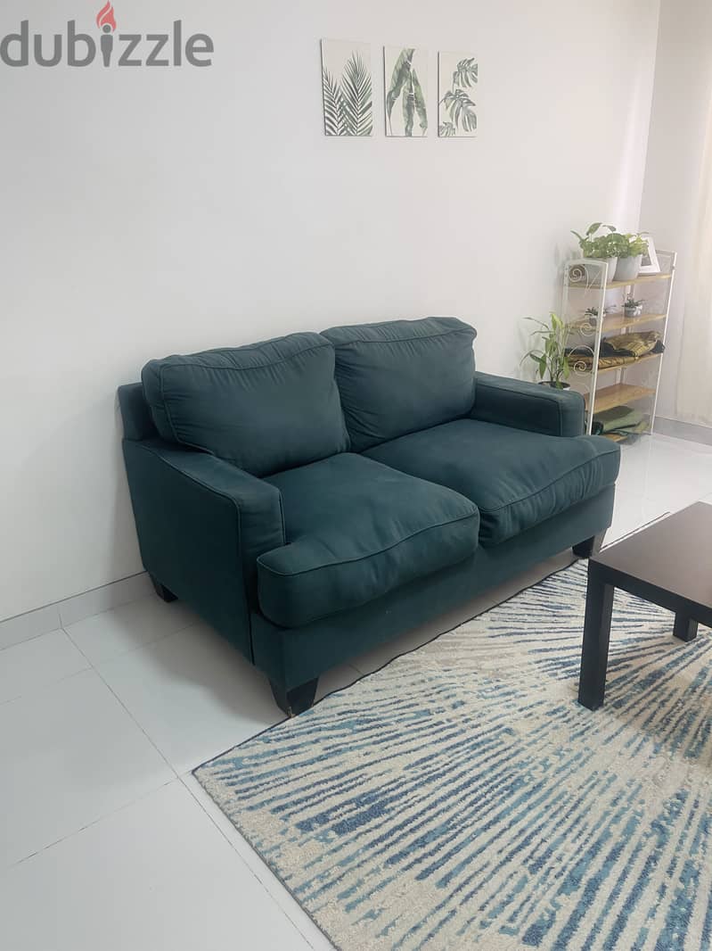 2+1 seater 1