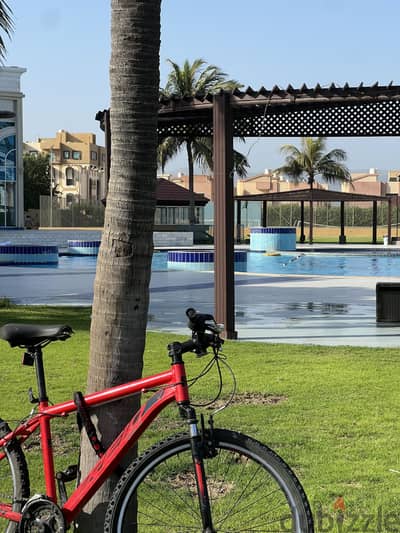 Reid cycle for sale