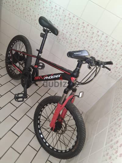 20 Inc's bike for kids