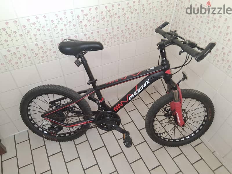 20 Inc's bike for kids 1