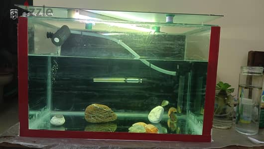 aquarium for sale