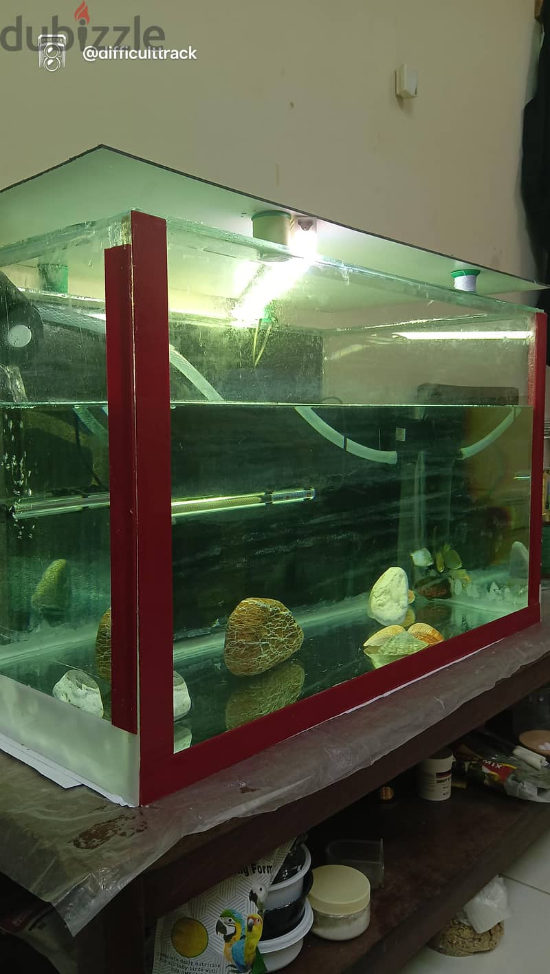 aquarium for sale 30x18x18 1