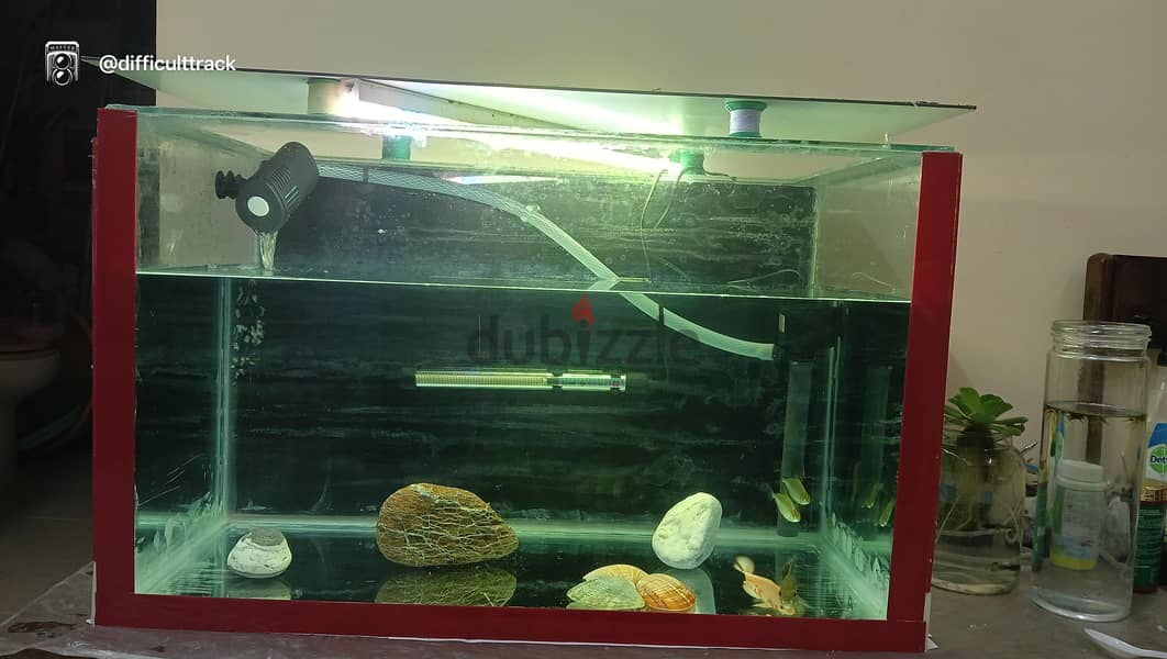 aquarium for sale 30x18x18 2