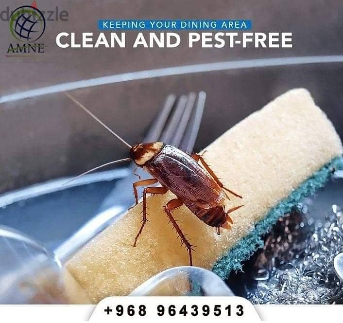 Professional & Guaranteed Pest Control Services in Muscat | Fast&Safe 4