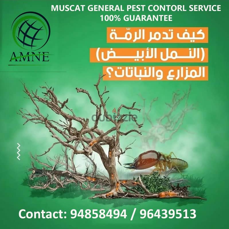 Professional & Guaranteed Pest Control Services in Muscat | Fast&Safe 5
