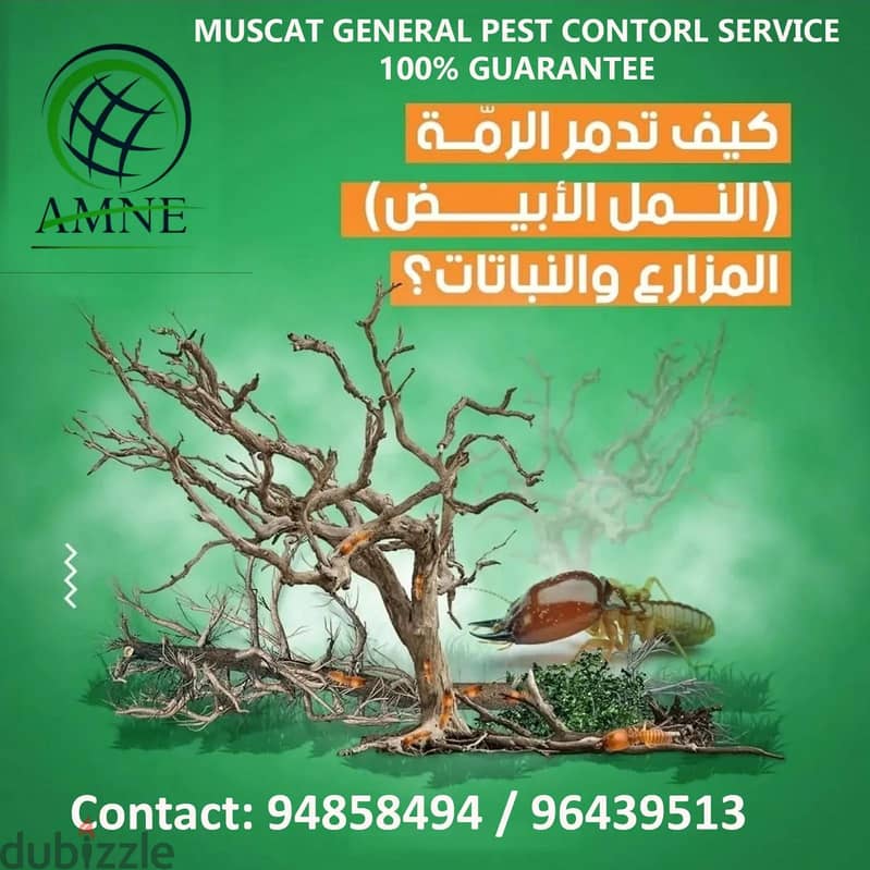 Professional & Guaranteed Pest Control Services in Muscat | Fast&Safe 1