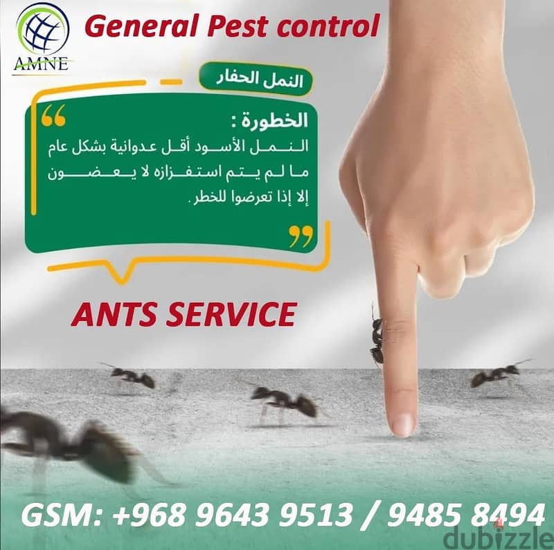 Professional & Guaranteed Pest Control Services in Muscat | Fast&Safe 3