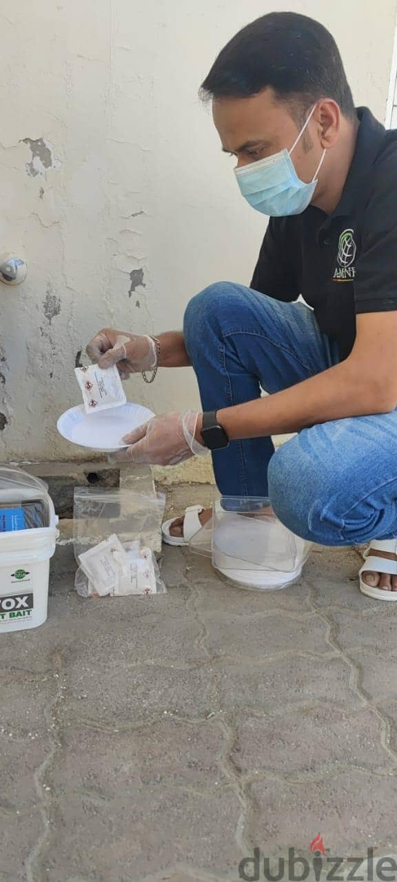 Professional & Guaranteed Pest Control Services in Muscat | Fast&Safe 6