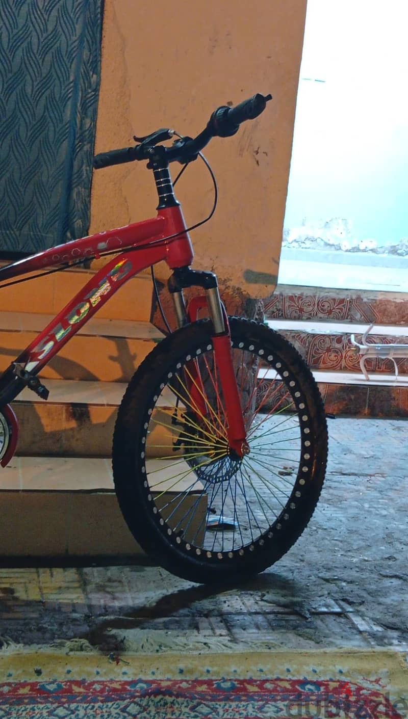 Red medium size cycle 2
