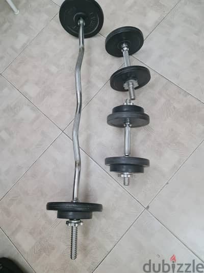 curl bar, weight, bench