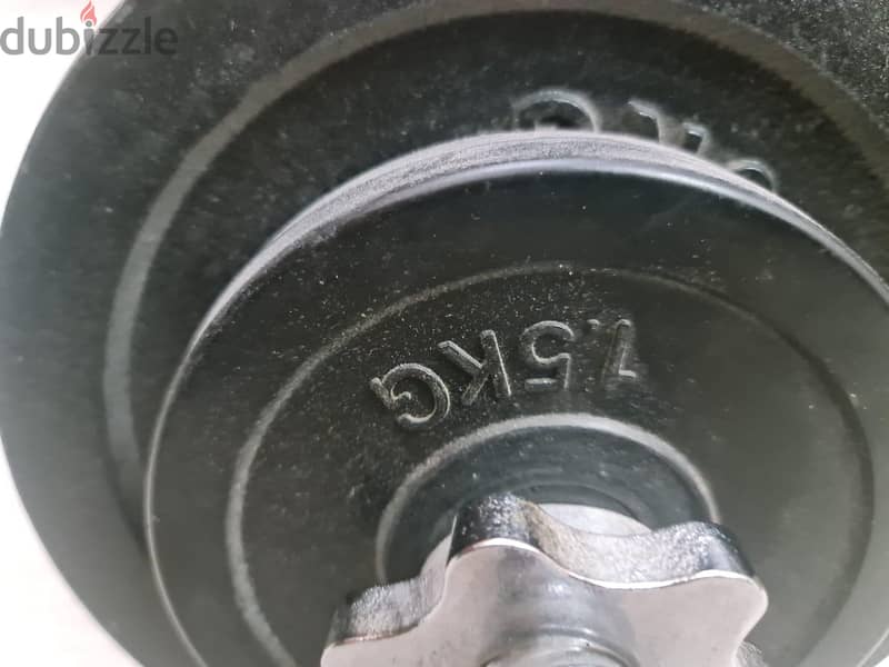 curl bar, weight, bench 4