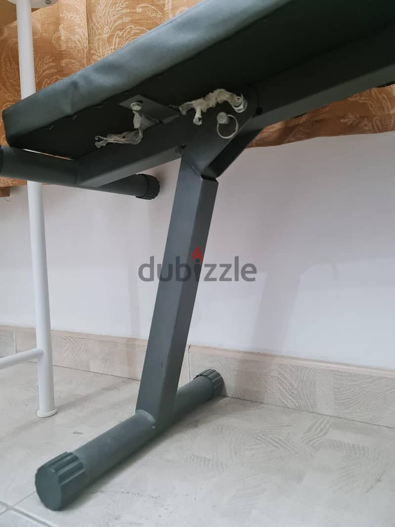 curl bar, weight, bench 7
