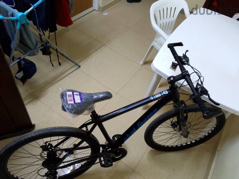 Selling a bicycle 2