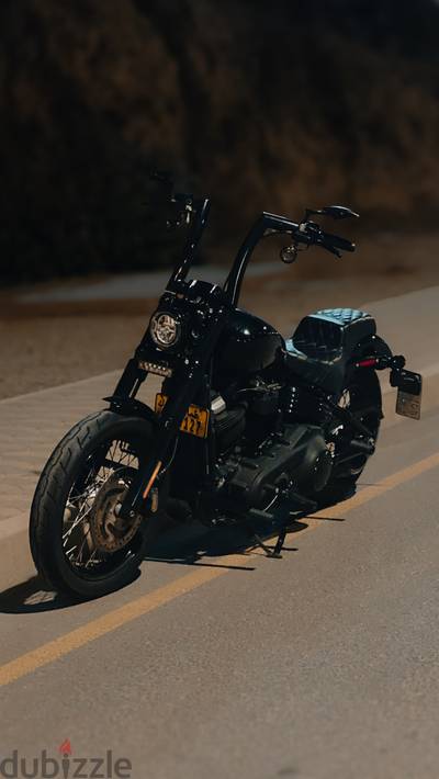 Harley Fxbb 2019 stage 1