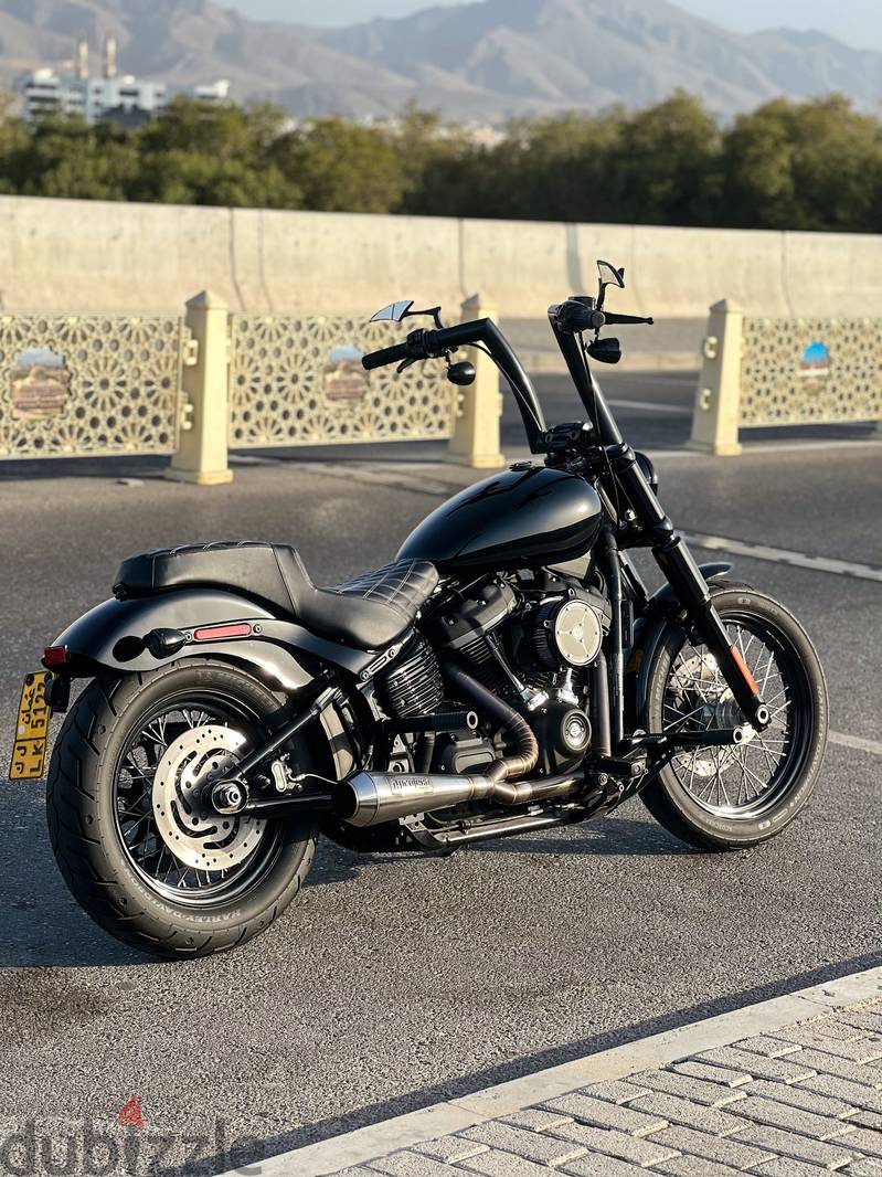 Harley Fxbb 2019 stage 1 1