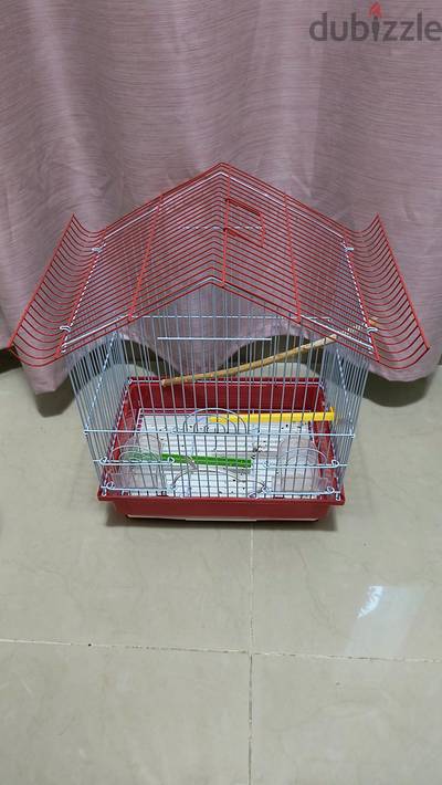brid cage