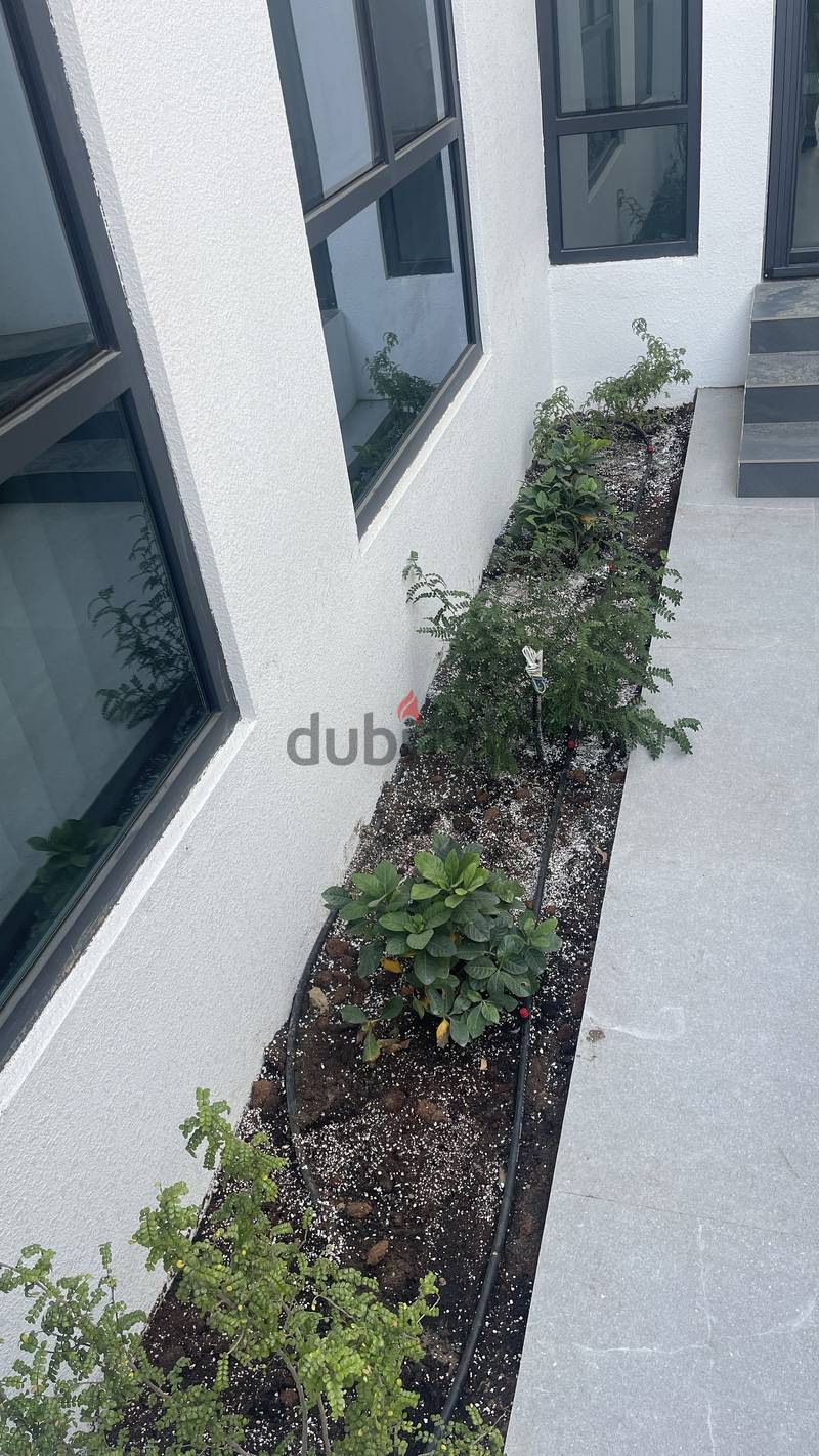 Landscaping 11
