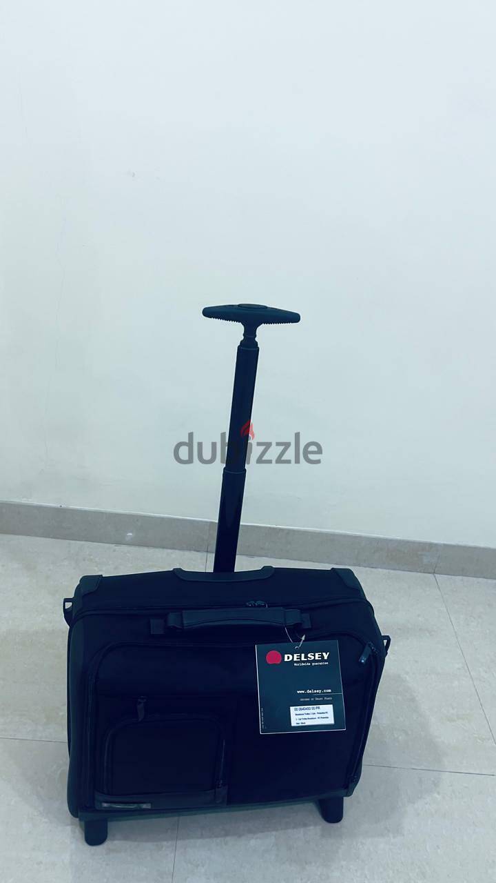 DELSEY 2-Compartment Boardcase Trolley 1