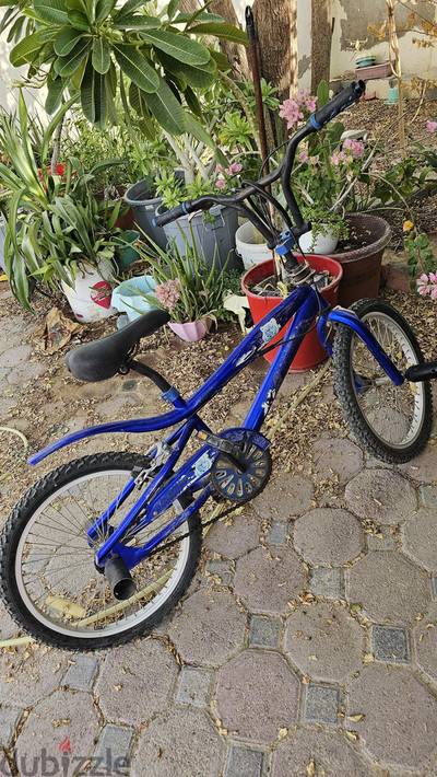 cycle