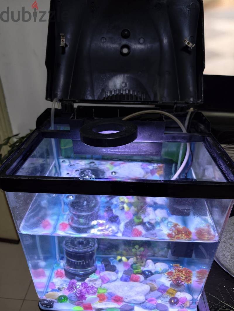 Fish tank aquarium 1